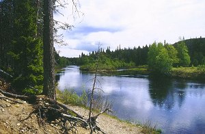 Der "Sauna-Fluss" Oulankajoki einige Kilometer vor der Saunah&uuml;tte
