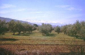 Gute Sicht bis zum Hohen Atlas