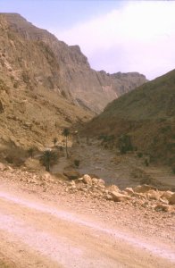 Todra-Tal kurz hinter der Schlucht