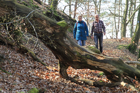Urwaldsteig-Foto von Stephan