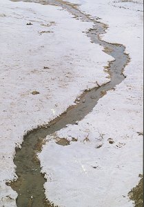 noch mehr Salz - von Trude